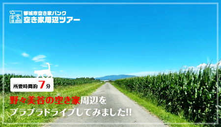 No.236野々美谷