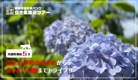 No,264山之口