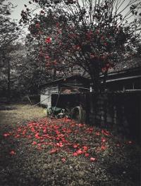 足立 一美「余情」