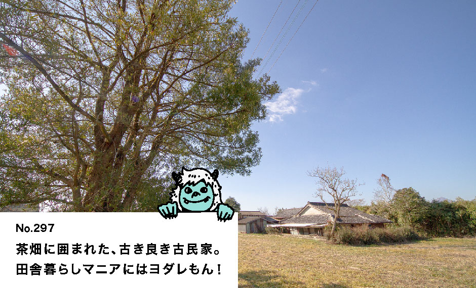 茶畑に囲まれた、古き良き古民家。 田舎暮らしマニアにはヨダレもん！