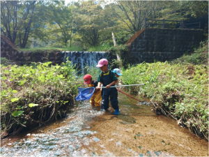綺麗な川で生き物
