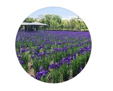 都城市道路公園課アイコン