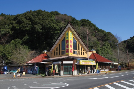 道の駅山之口