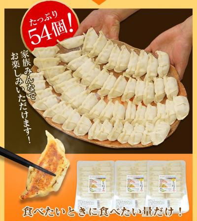 とり餃子セットの写真