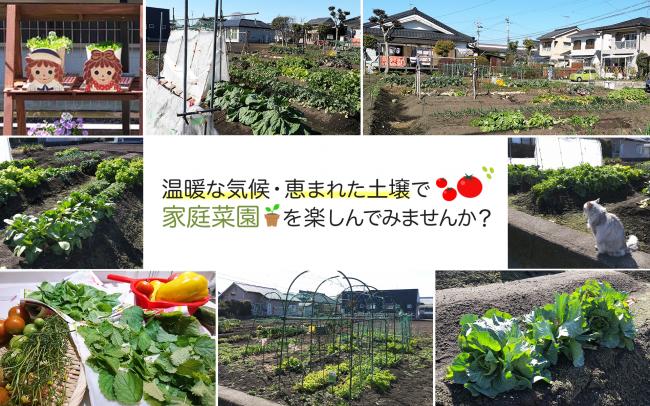 温暖な気候・恵まれた土壌で家庭菜園を楽しんでみませんか？